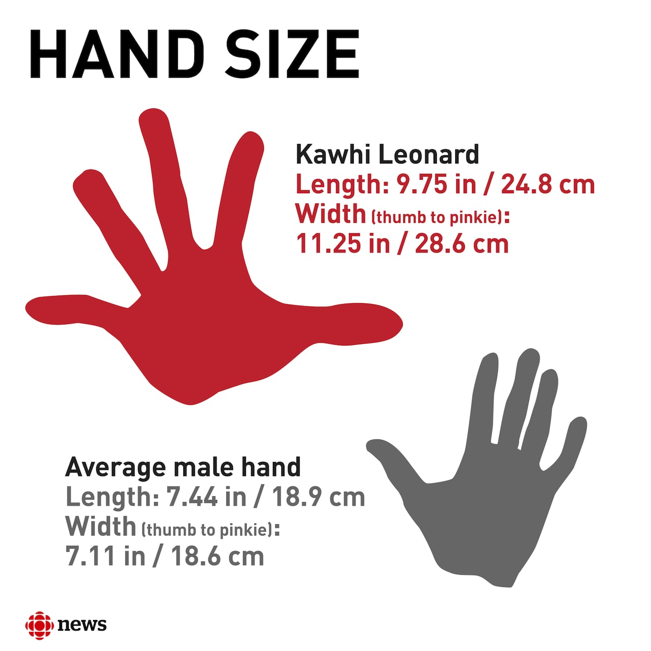 Kawhi Leonard Hand Size Explained: Just How Big Is Big? Learn the Truth About His Legendary Paws