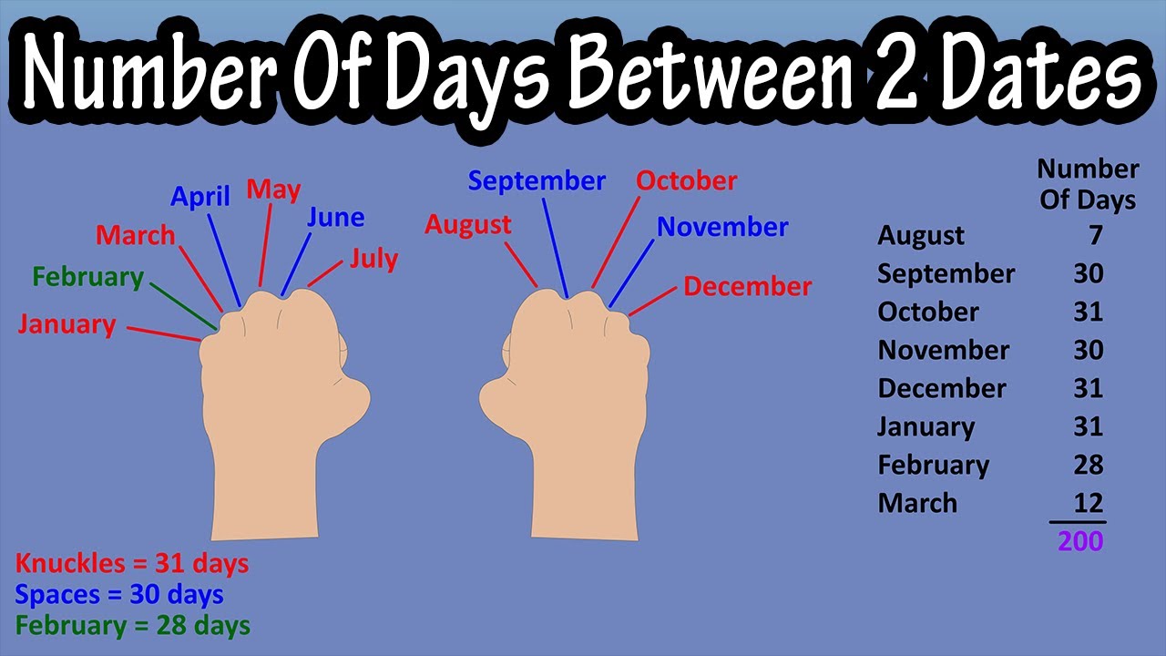 How to find the date 240 days from today? (Simple steps to figure it out)