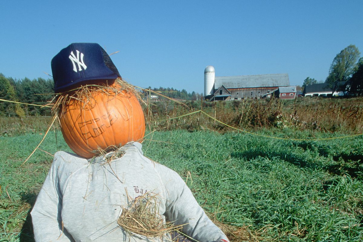 Yankees Halloween Costume: Get the Iconic Look This Year