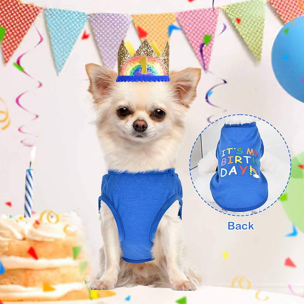 Best Dog Birthday Outfit for Party: Find the Perfect Look Here!
