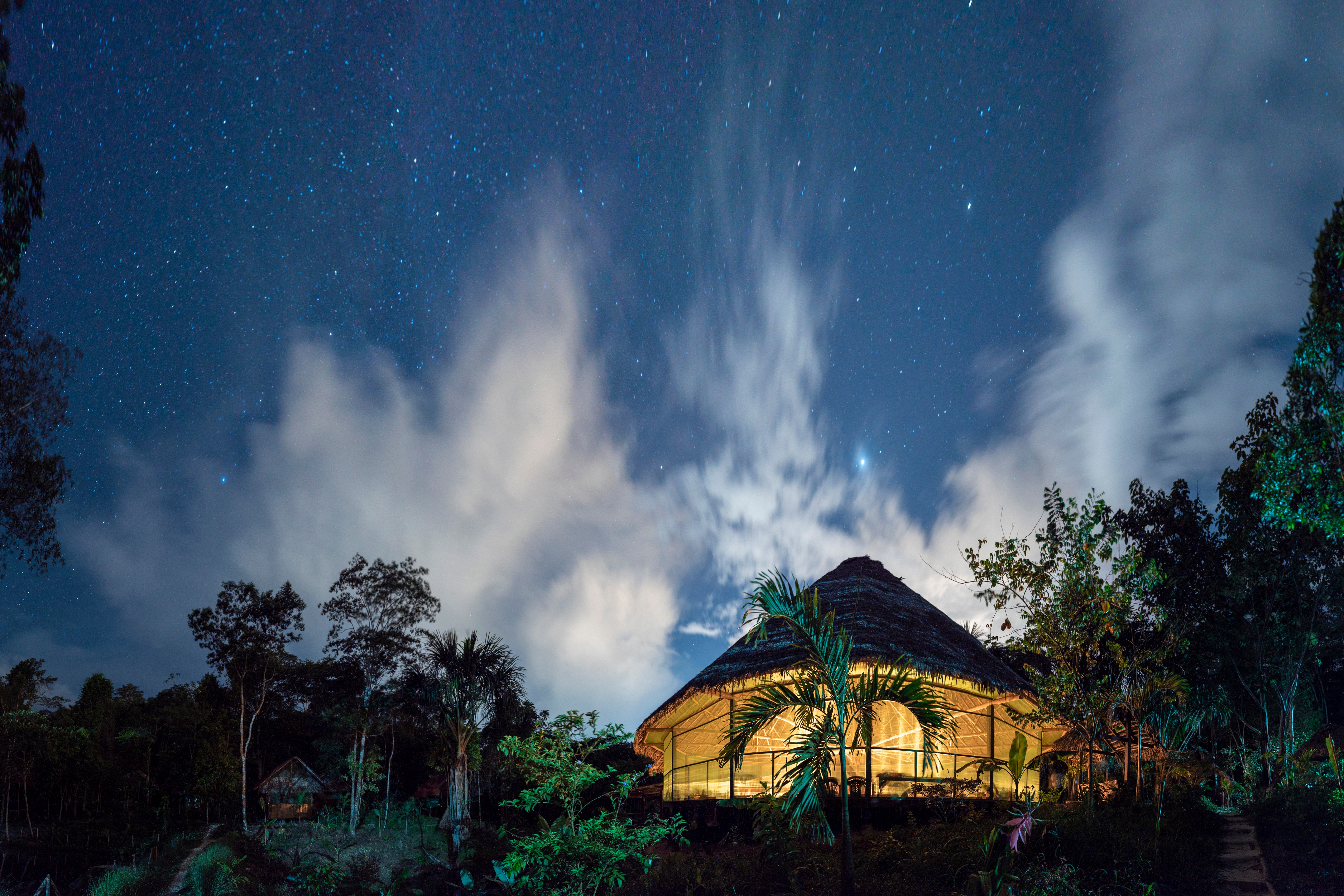Looking for Ayahuasca Retreat Kansas City? Read This First!