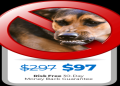 The Real Deal on Pitbull Cruz Payout: How Much Money Did He Make? Learn More!