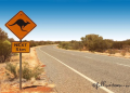 mel australia Travel Tips: How to Plan Your Trip? Best Things to See and Do!