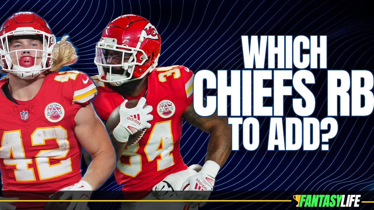 Choosing Between Steele or Perine: Heres What You Need to Know