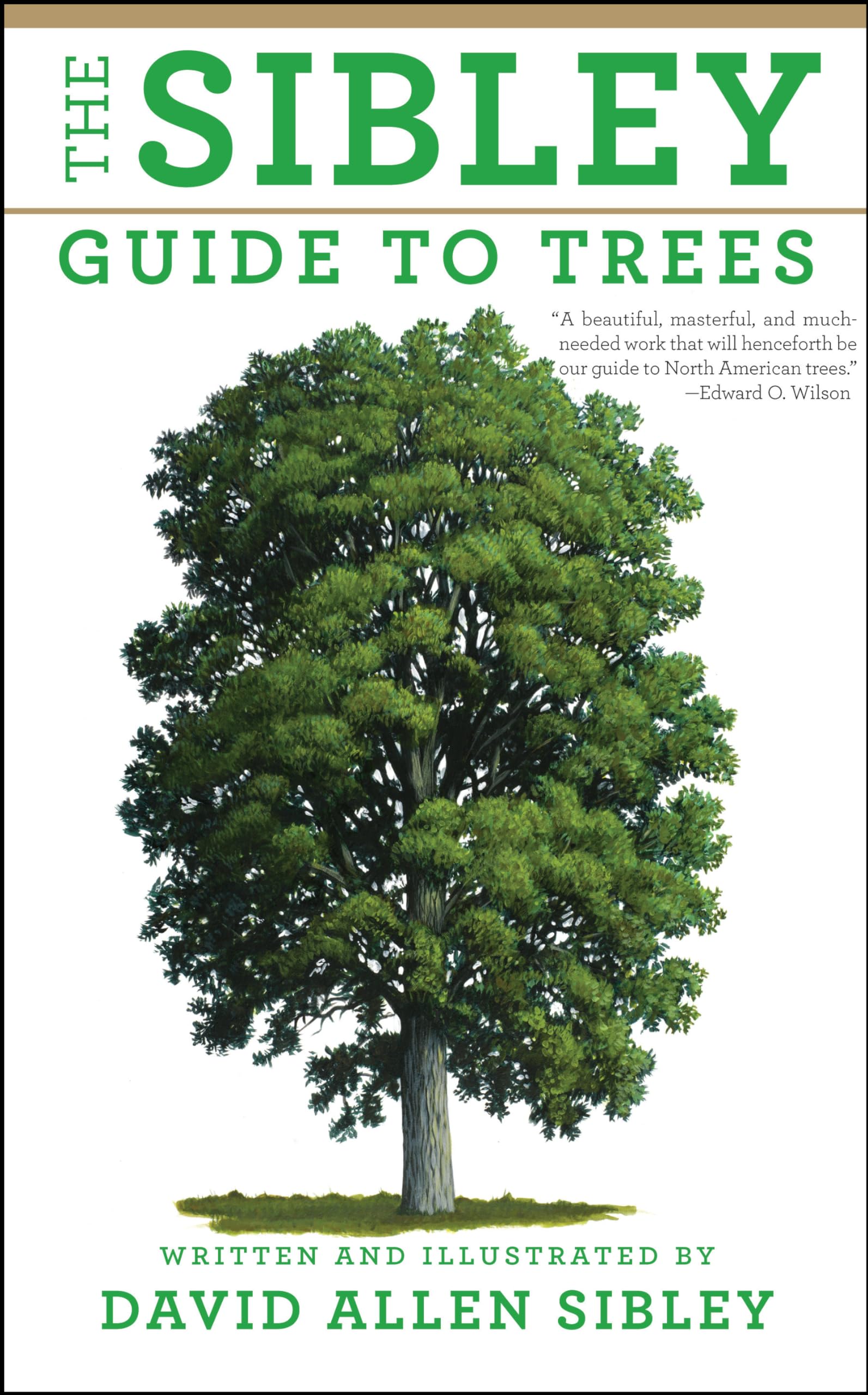What is a Bound Tree? Easy Guide to Understanding Bound Trees for Beginners