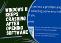 Source insight crashes when scrolling window? Heres how to fix it fast!