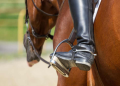 Bull Riding Spurs: How to Choose (The Right Pair)