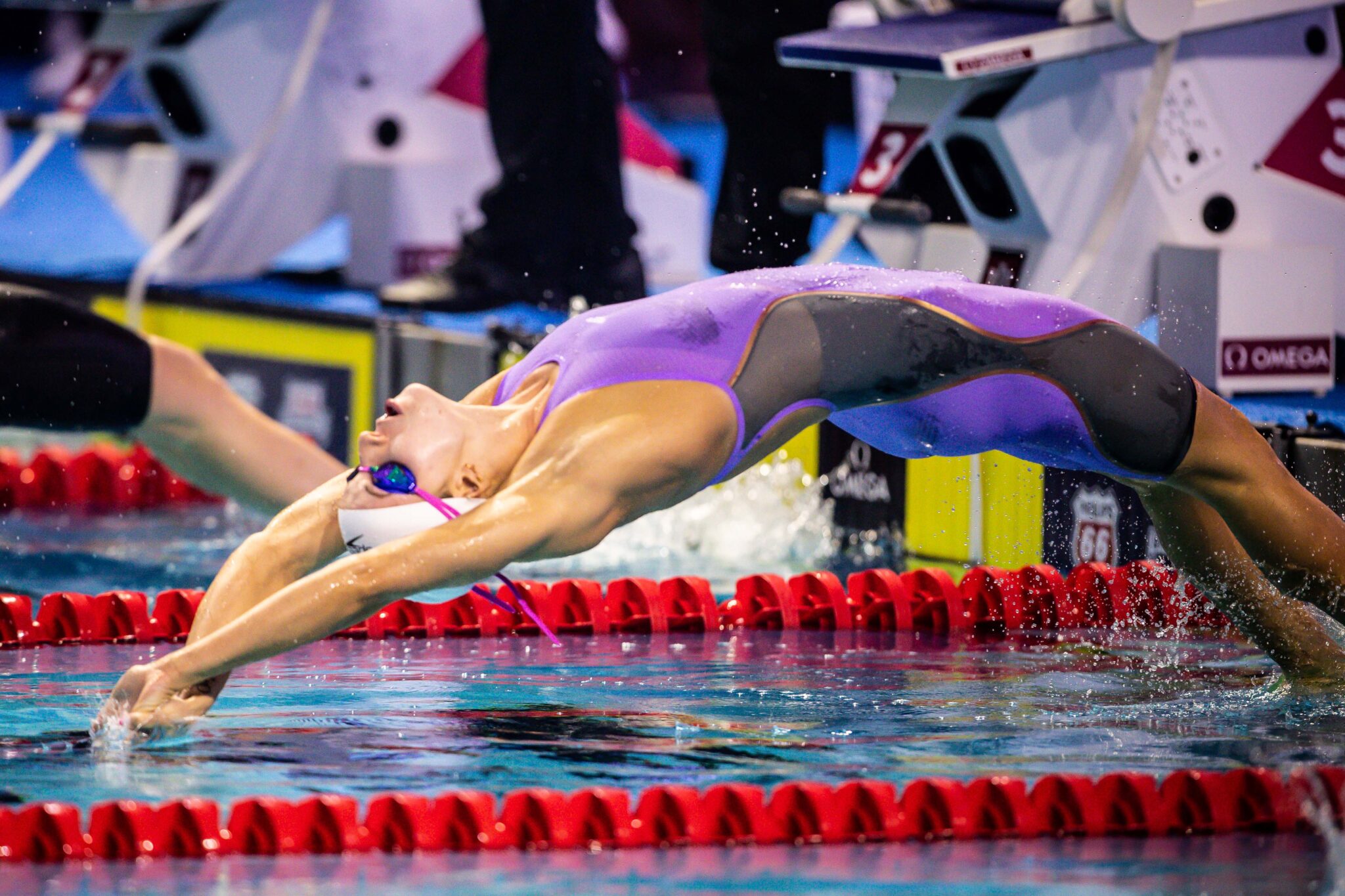 Swimming Results: Area 3 Championship 2023 in St Pete (February Recap)