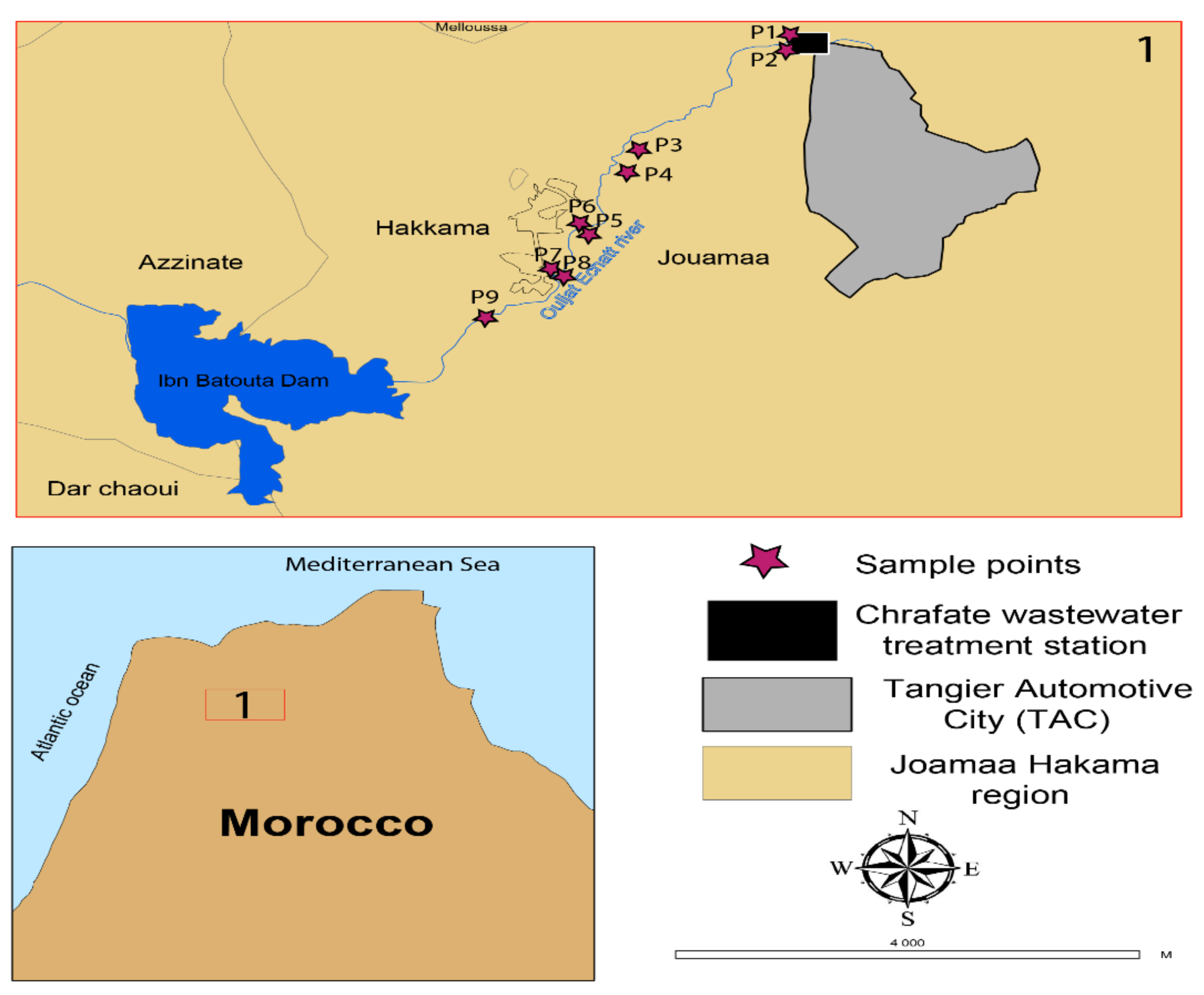 Find a Random Morocco Address: Simple Tools for Location Testing.