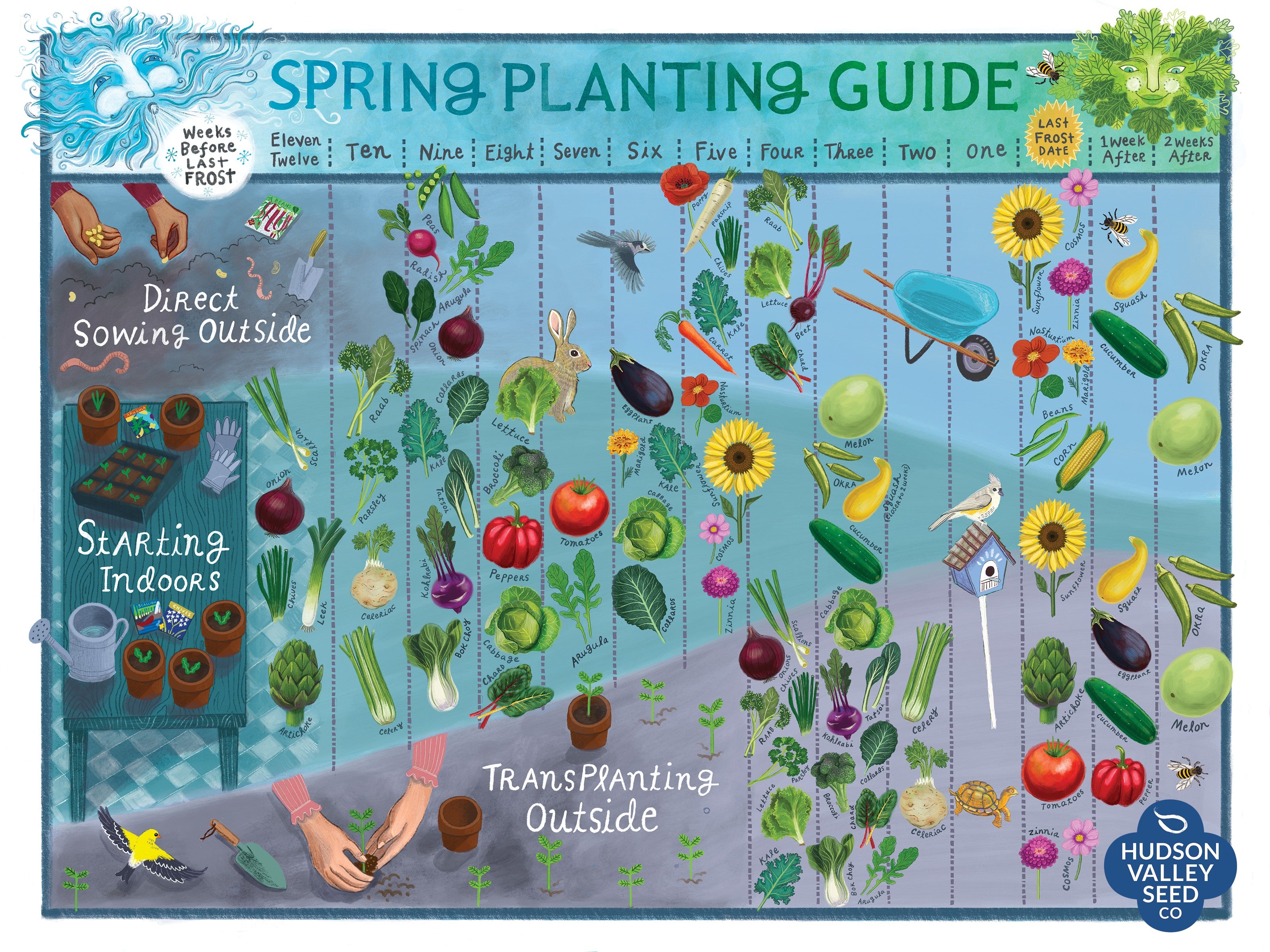 Growing Golden Myers Seeds:Easy planting guide for you!