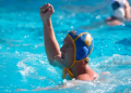 Swimming Results: Area 3 Championship 2023 in St Pete (February Recap)