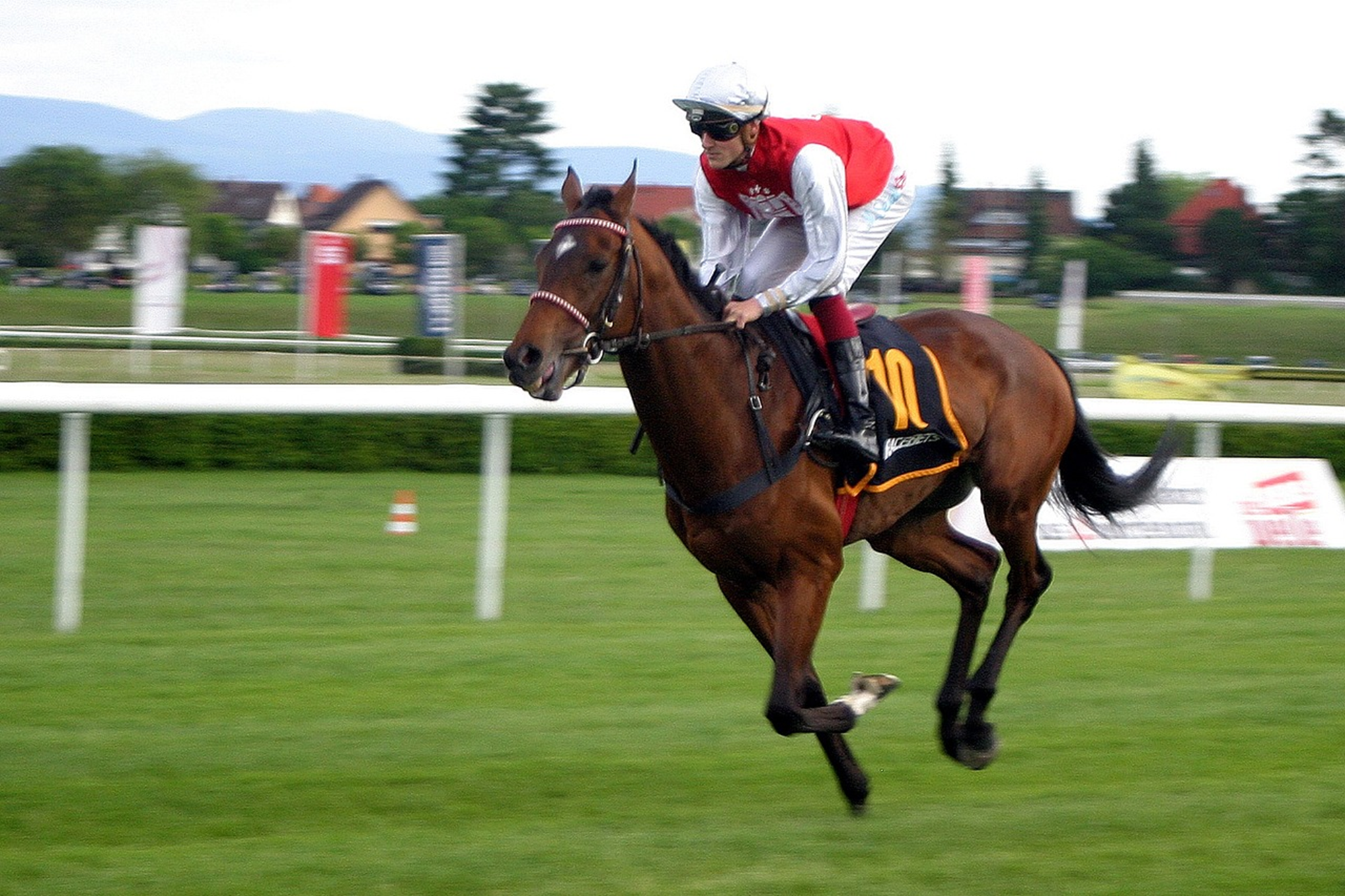 What do people like about racing?Uncover the sports Allure.