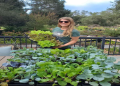 How to Use Seed Mats: Step-by-Step Instructions for Success