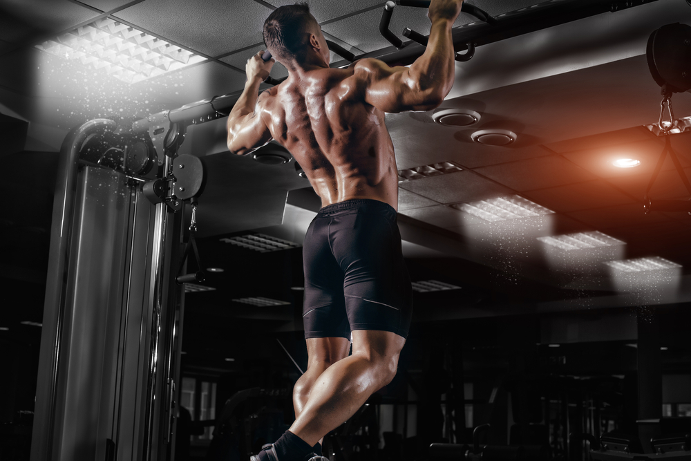 Is There Any Back Shape That Is Good for Boxing? Find Out Here!