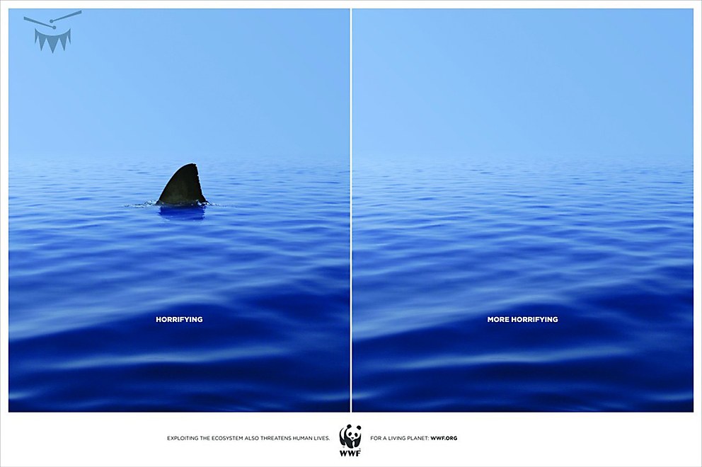 2. WWF Horrifying More and More: Discover Shocking Facts!