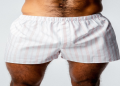 All About 24 Boxers: The Ultimate List You Need!