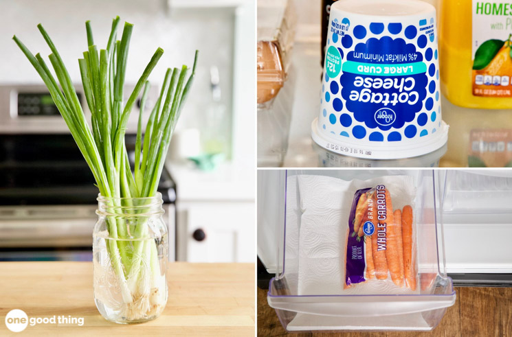 Sure Fresh: What Is It? (Simple Tips to Keep Food Fresh)