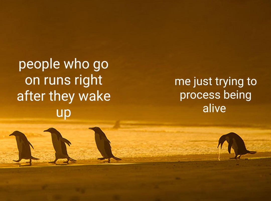 All My Homies Hate Early Mornings: Learn How to Be a Morning Person