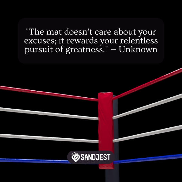 Best Quotes about Wrestling (Success And Hard Work)