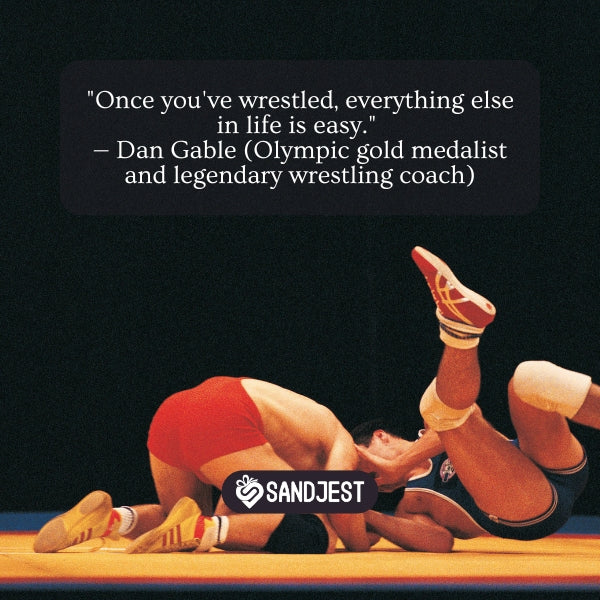 Best Quotes about Wrestling (Success And Hard Work)