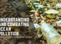 Support Local: Why Choose Rising Tide Coop?