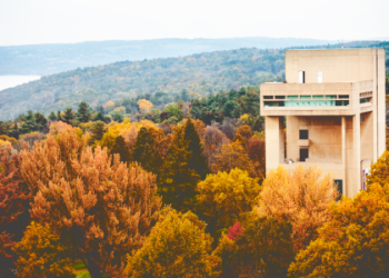 Navy Blue Charlotte Lawrence Lyrics Meaning: Simple Explanation & Breakdown!