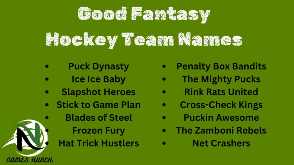 Looking for unique fantasy hockey team names? Get inspired by this awesome list today!