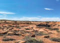 Discover 200 South: A Locals Guide to the Best Area.