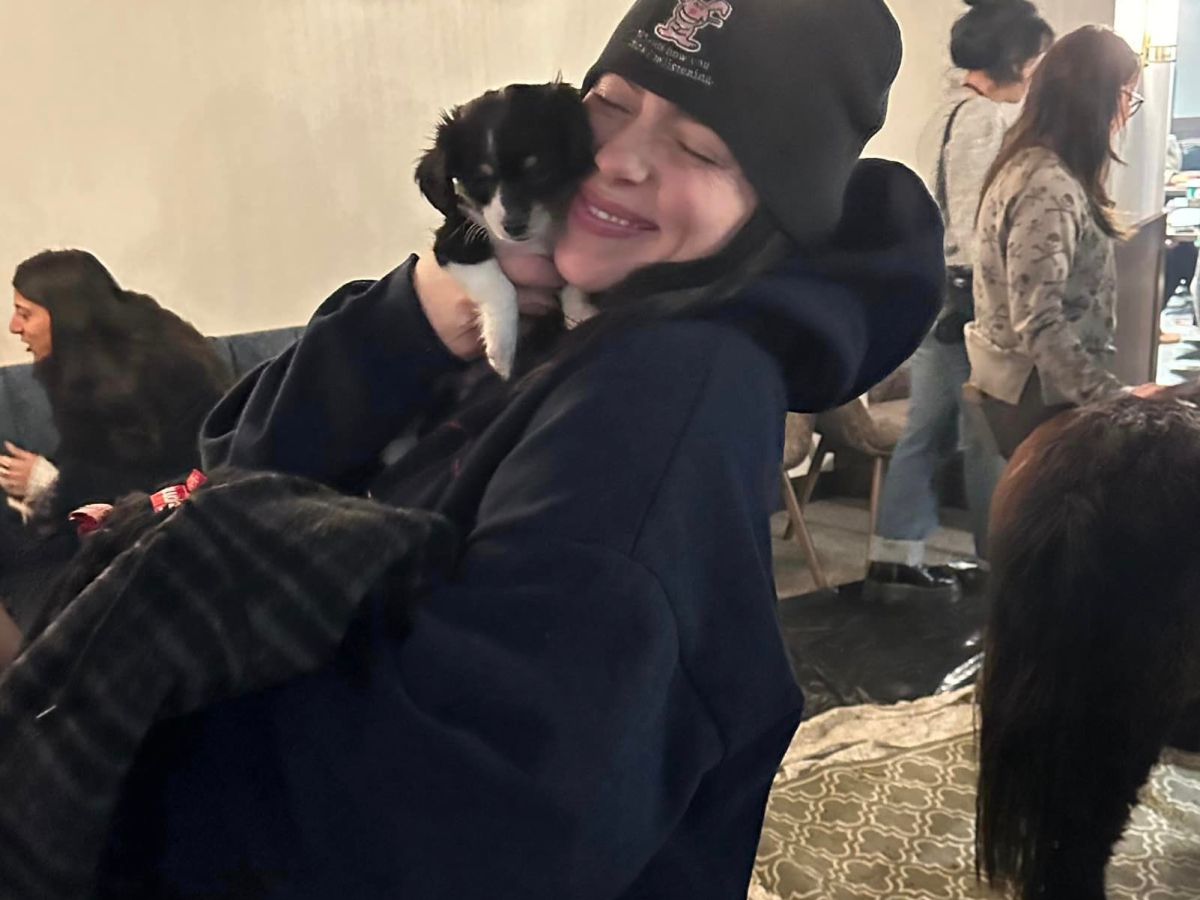 Billie Eilish Denver Show: What to Expect at the Concert!