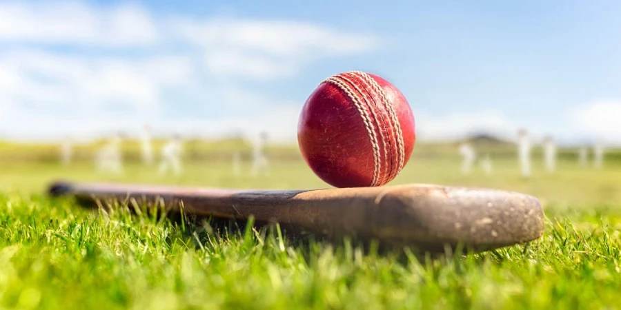 What kind of birthday cricket ball should I buy? Consider these top choices for cricket lovers.