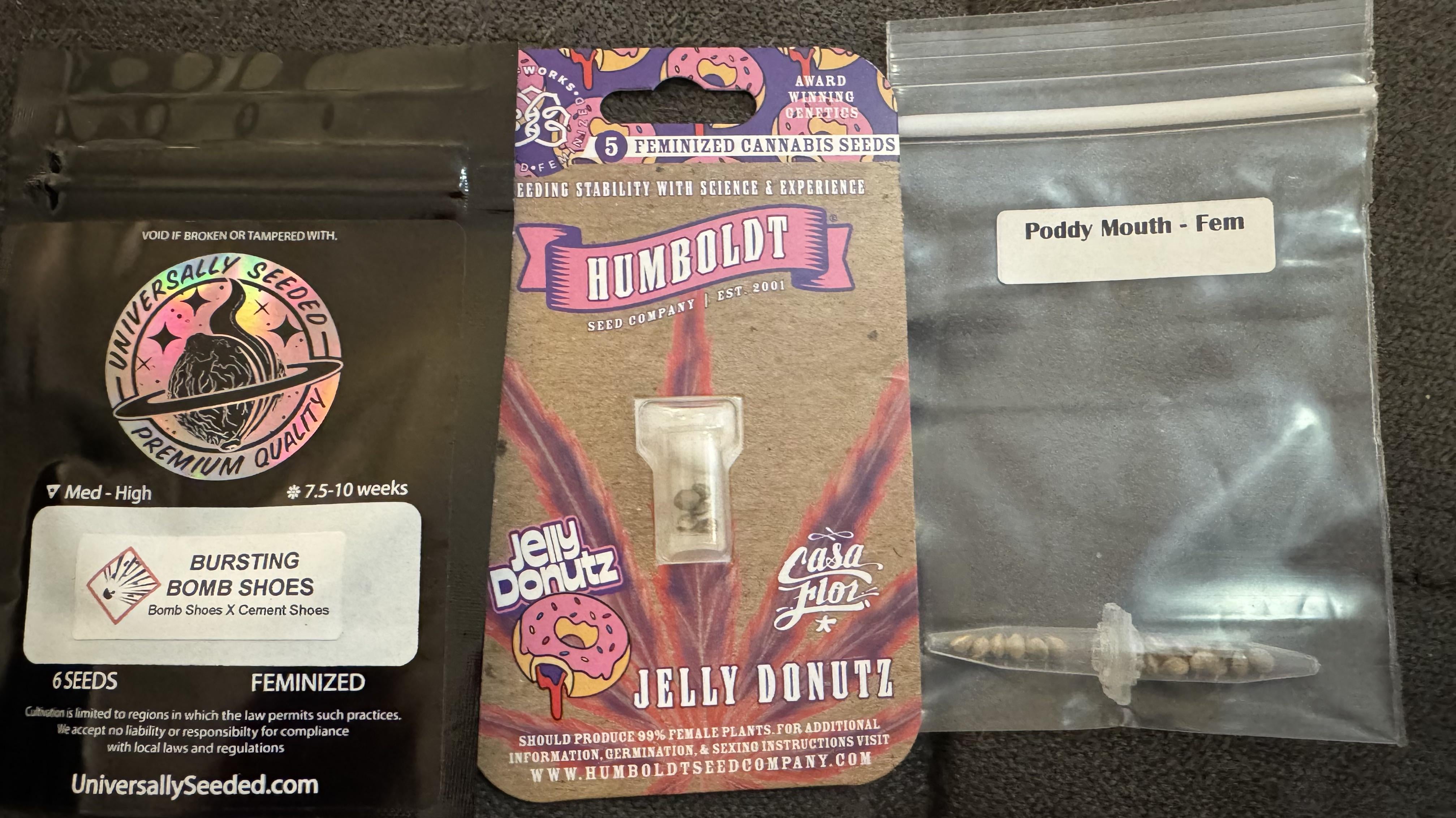 Chitown Seeds Review: Are These the Right Seeds for Your Garden?