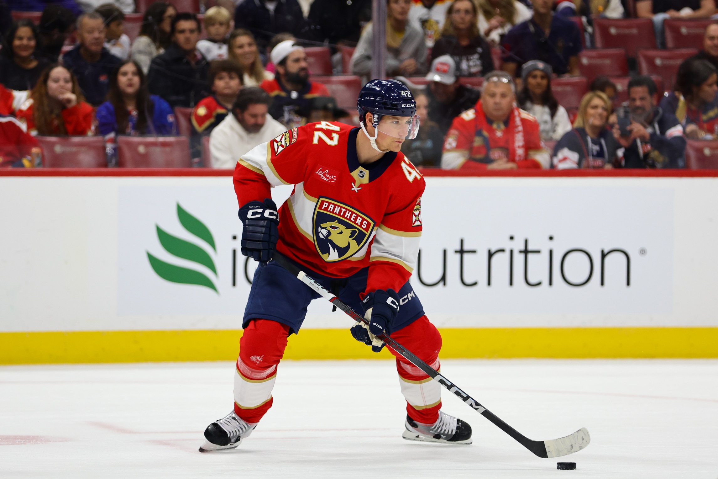 Panthers vs Rangers Prediction Free Picks: Will the home team take the win?