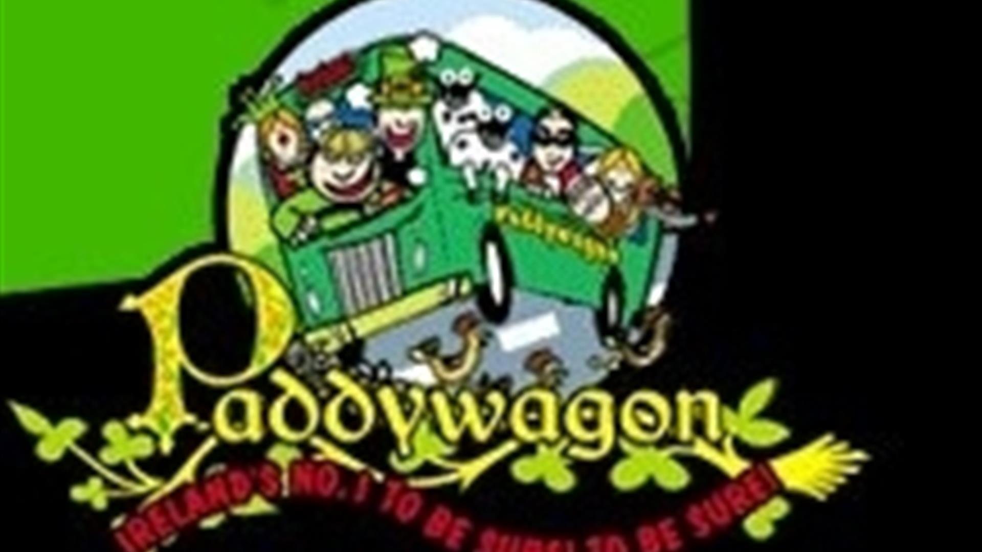 Paddys Palace:The Ultimate Guide (location & features)