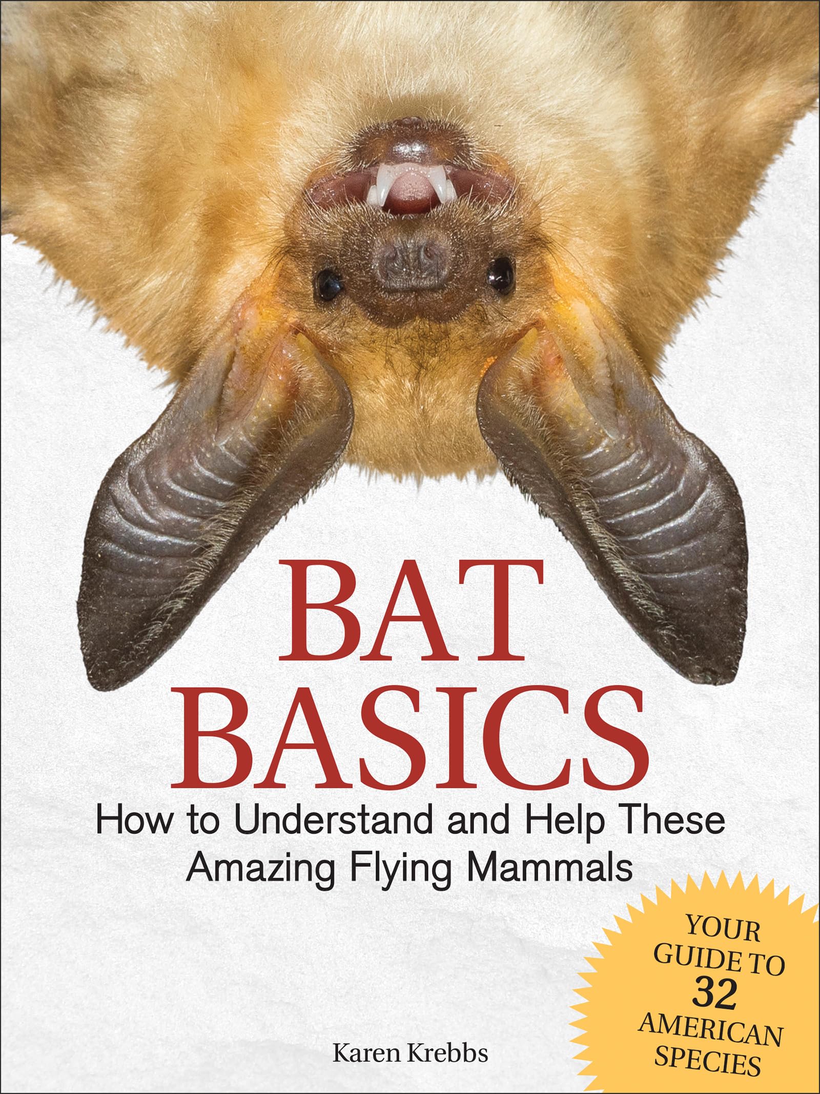 Learn About Bat Mclellan: Quick and Easy Tips.