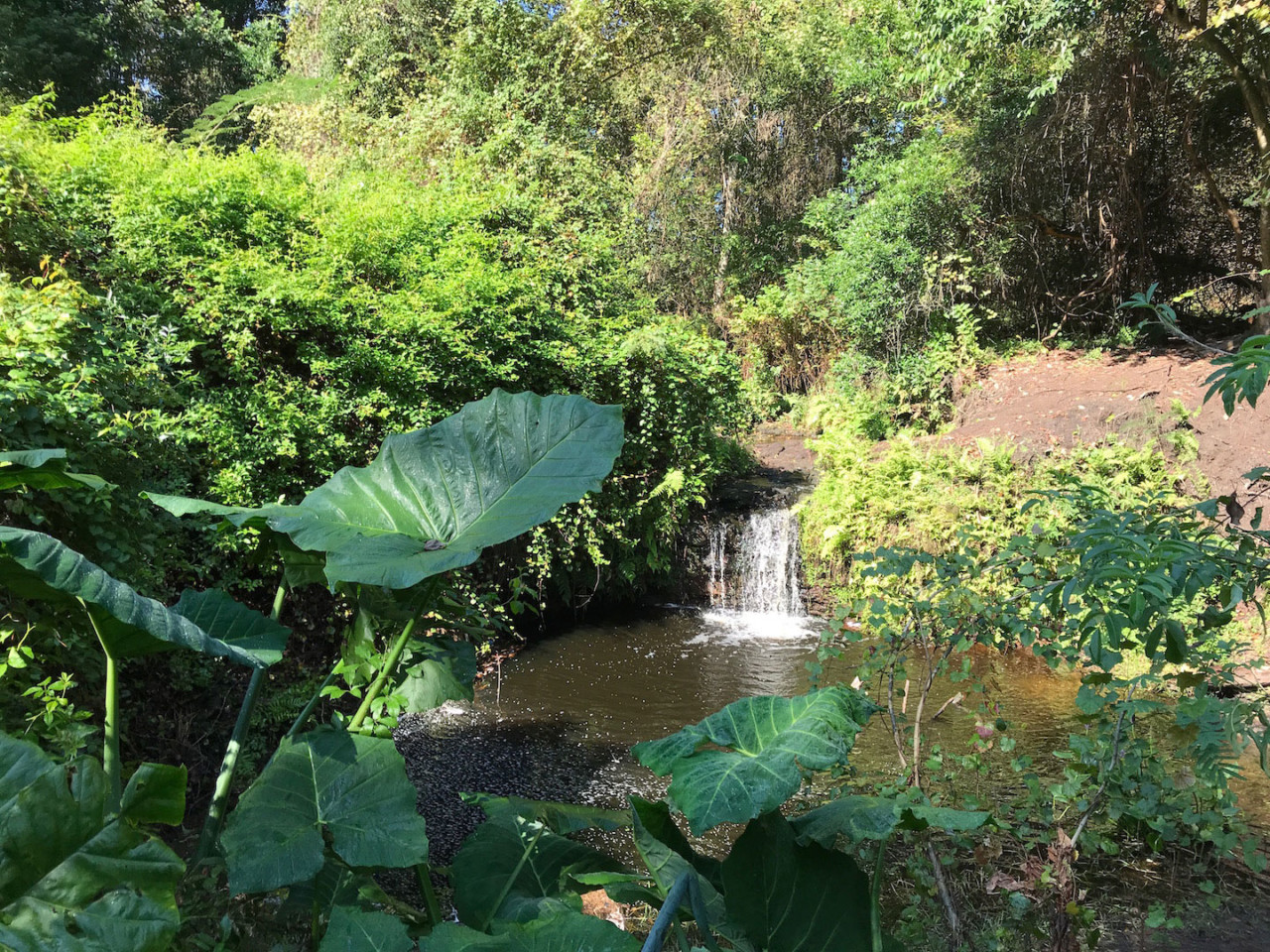 Bulls Bay Preserve South Carolina - Amazing Wildlife Spotting!