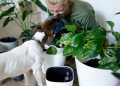 humble home nyt: Creating a Warm and Inviting Atmosphere