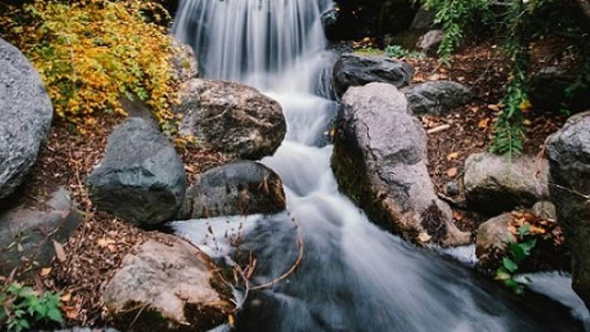 Simple Fixes When a Small Leak Turns into a Waterfall Fast