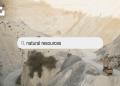 Where to Find Omage? Top Resources and Information.