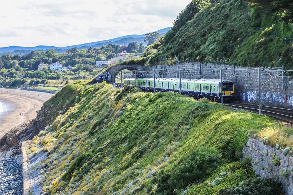 Dart Town Travel: Top Things to See and Do in Dart Town