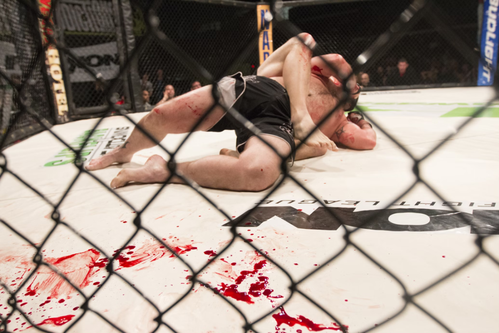 Looking for Winning MMA Calls? (Strategies for Making Smarter Fight Predictions)