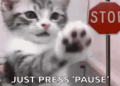What is Pausara and How to Use It Effectively Today
