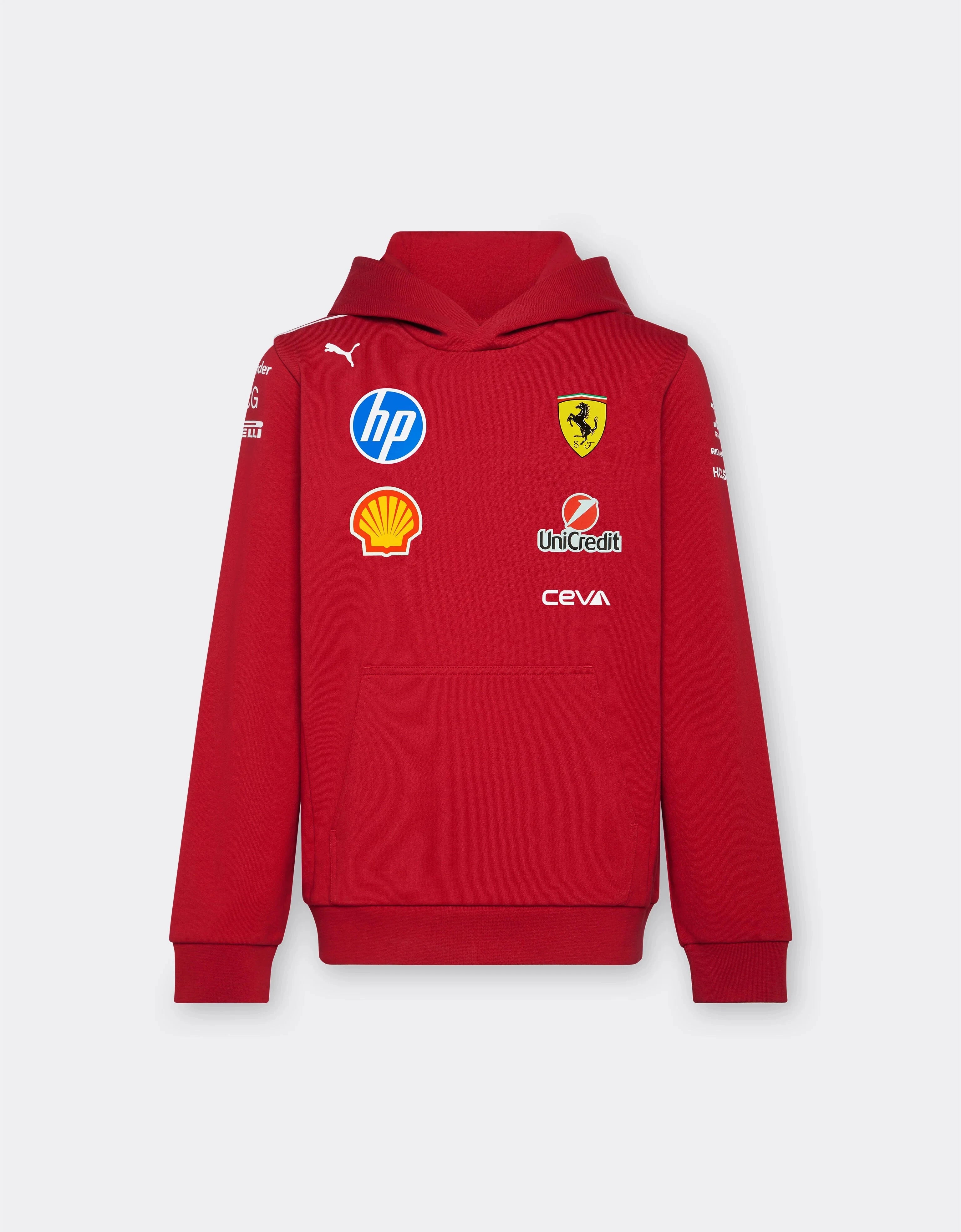 What types of Charles Leclerc merchandise are available? Explore hoodies, models, and accessories fans love.